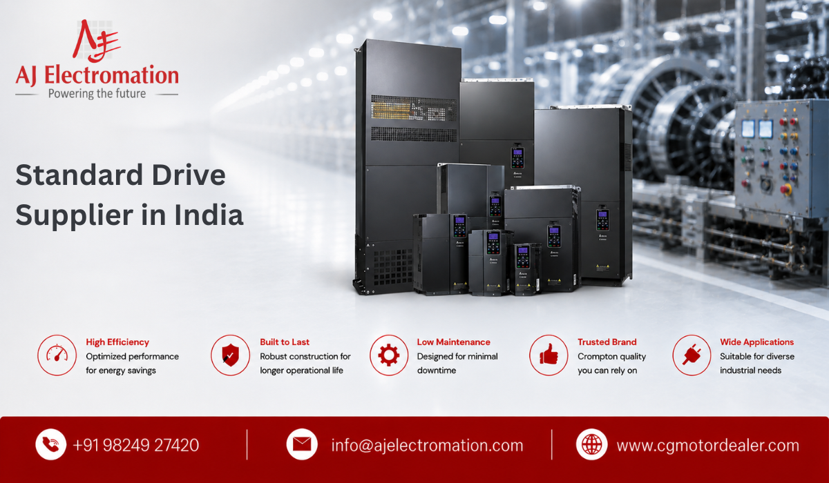 Standard Drive Supplier In India